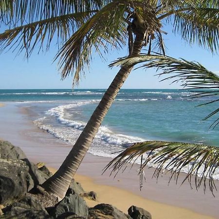 Comfortable And Affordable Deal Close To Beach And Rainforest リオ・グランデ エクステリア 写真