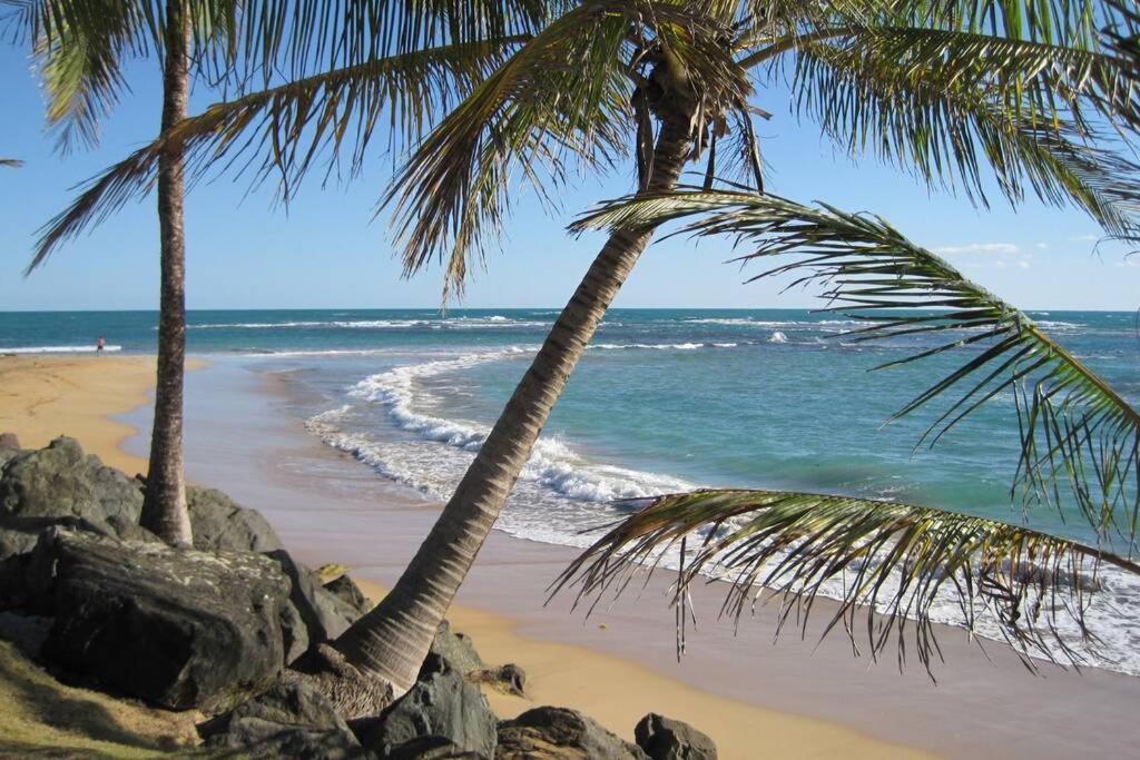 Comfortable And Affordable Deal Close To Beach And Rainforest リオ・グランデ エクステリア 写真